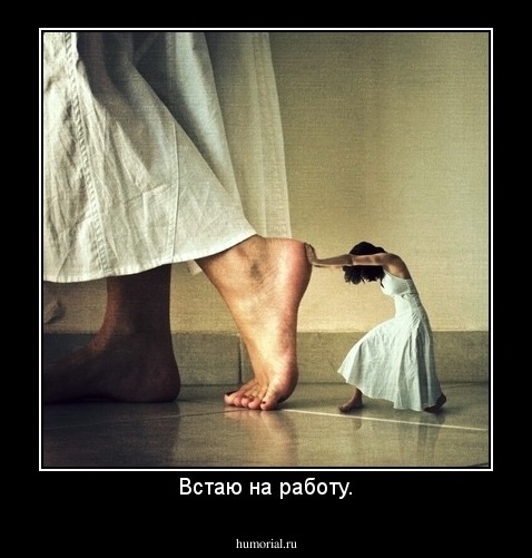 Встаю на работу.