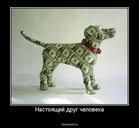 Настоящий друг человека