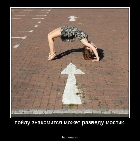 пойду знакомится может разведу мостик 