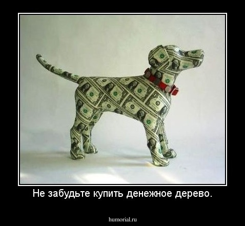Не забудьте купить денежное дерево.