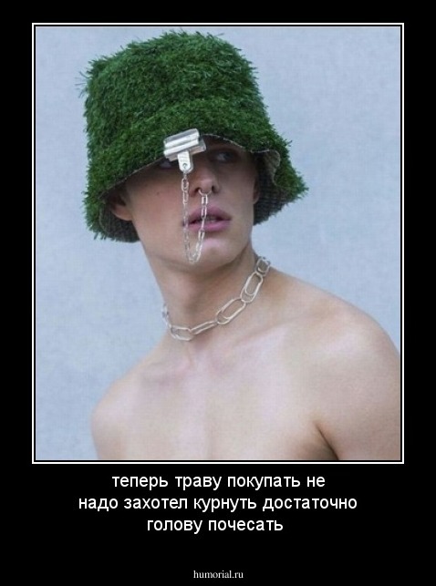 теперь траву покупать не надо захотел курнуть достаточно голову почесать 