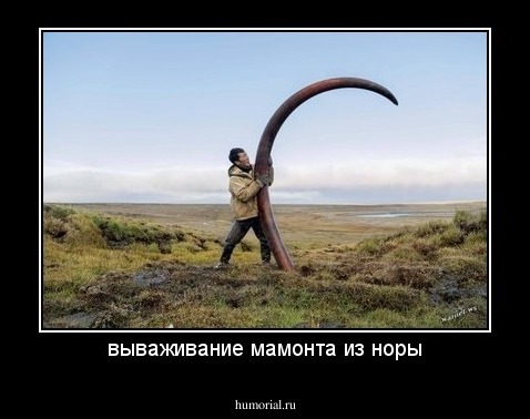 вываживание мамонта из норы