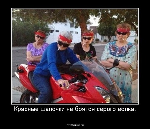 Красные шапочки не боятся серого волка.