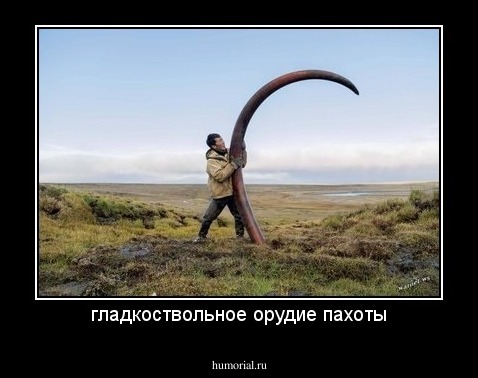 гладкоствольное орудие пахоты
