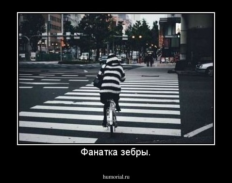 Фанатка зебры.