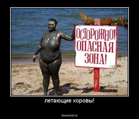 летающие коровы!