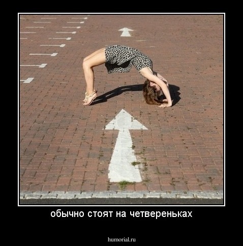 обычно стоят на четвереньках