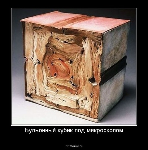 Бульонный кубик под микроскопом