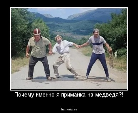 Почему именно я приманка на медведя?!