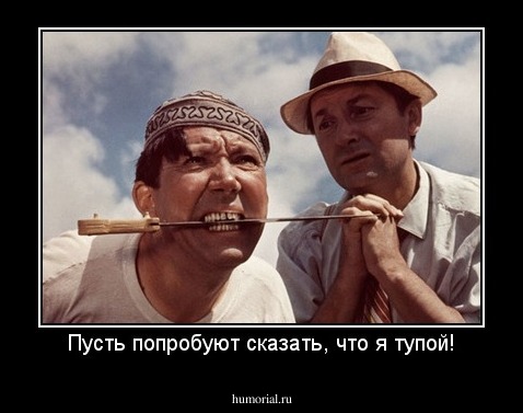 Пусть попробуют сказать, что я тупой!
