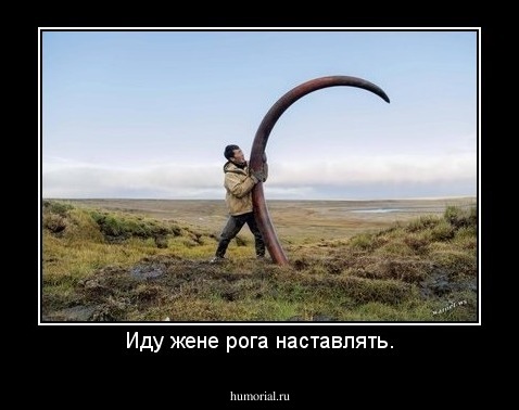 Иду жене рога наставлять.