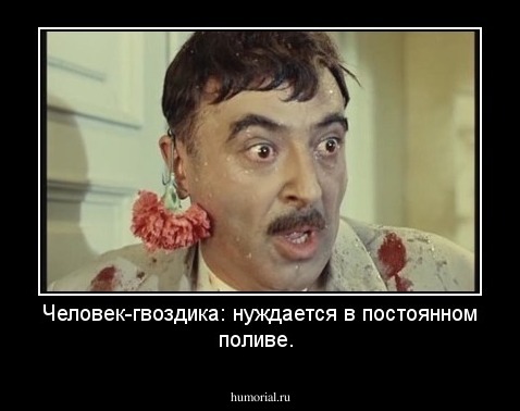 Человек-гвоздика: нуждается в постоянном поливе.