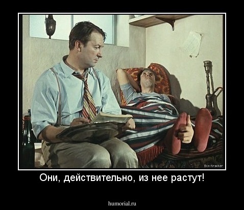 Они, действительно, из нее растут!