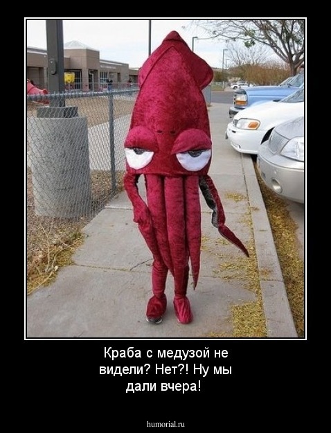 Краба с медузой не видели? Нет?! Ну  мы дали вчера!