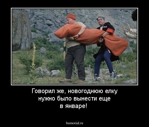 Говорил же, новогоднюю елку нужно было вынести еще в январе!