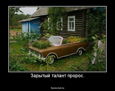 Зарытый талант пророс.