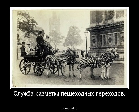 Служба разметки пешеходных переходов.