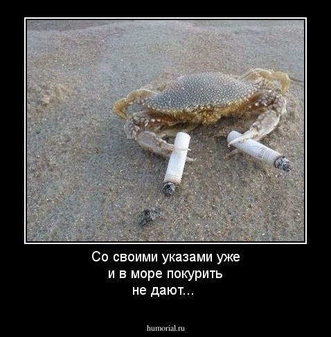 Со своими указами уже и в море покурить не дают...