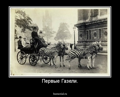 Первые Газели.