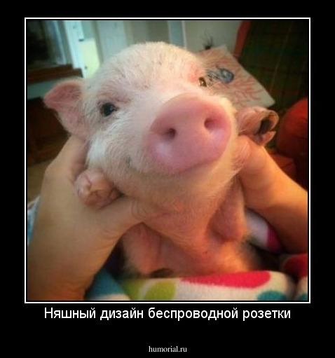 Няшный дизайн беспроводной розетки