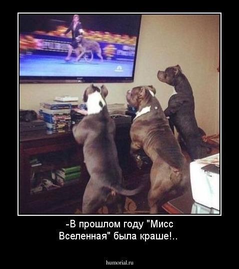 -В прошлом году "Мисс Вселенная" была краше!..