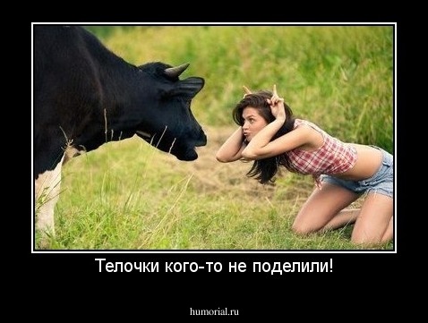 Телочки кого-то не поделили!