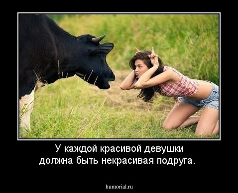У каждой красивой девушки должна быть некрасивая подруга.