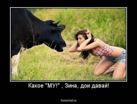 Какое "МУ!" , Зина, дои давай!