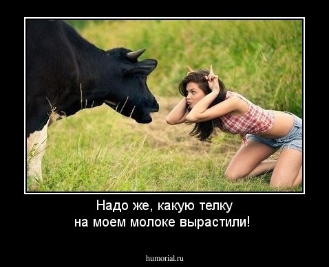 Надо же, какую  телку на моем молоке вырастили!