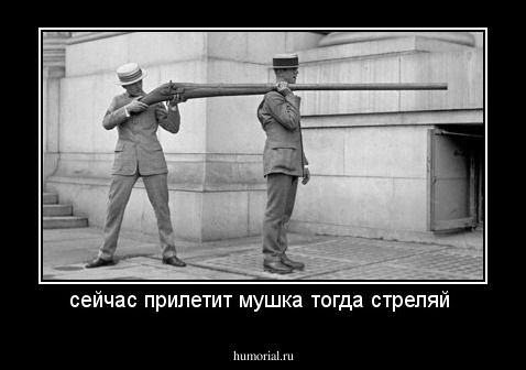 сейчас прилетит мушка тогда стреляй 