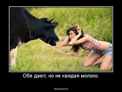 Обе дают, но не каждая молоко.