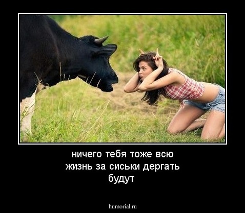 ничего тебя тоже всю жизнь за сиськи дергать будут 