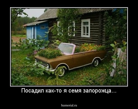 Посадил как-то я семя запорожца...