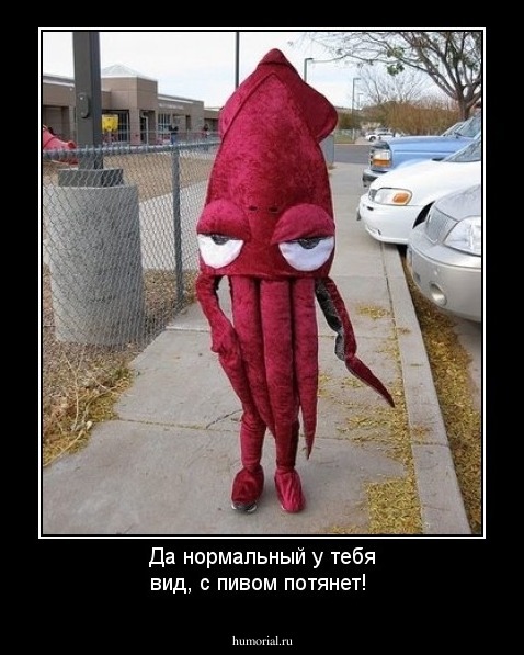 Да нормальный у тебя вид, с пивом потянет!