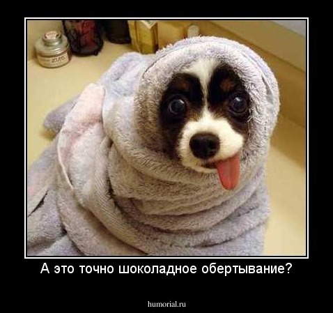А это точно шоколадное обертывание?