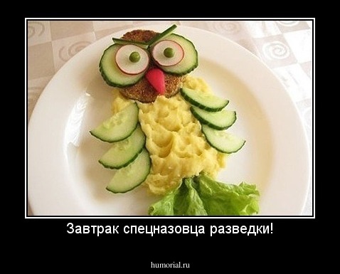 Завтрак спецназовца разведки!