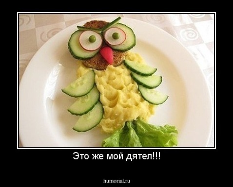 Это же мой дятел!!!