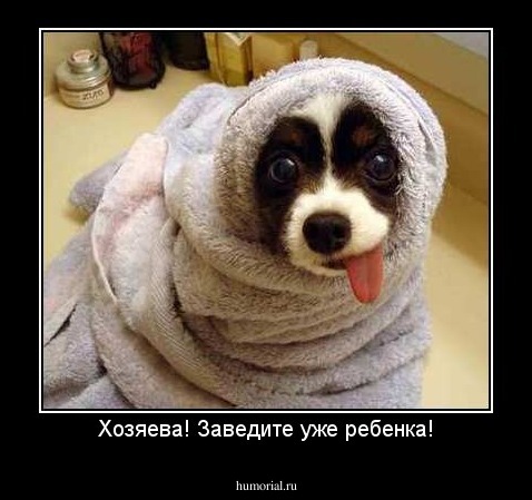 Хозяева! Заведите уже ребенка!
