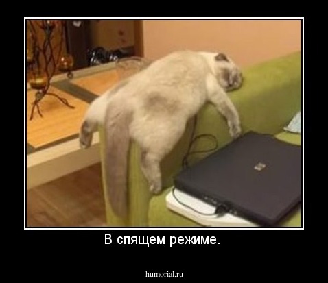В спящем режиме. 
