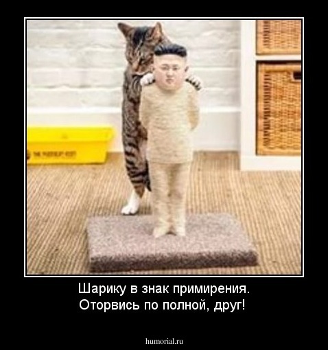 Шарику в знак примирения. Оторвись по полной, друг!