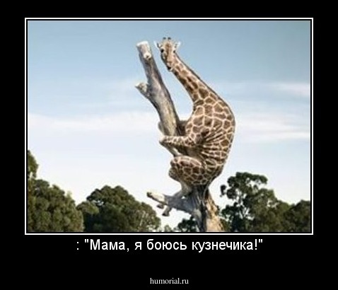 : "Мама, я боюсь кузнечика!"
