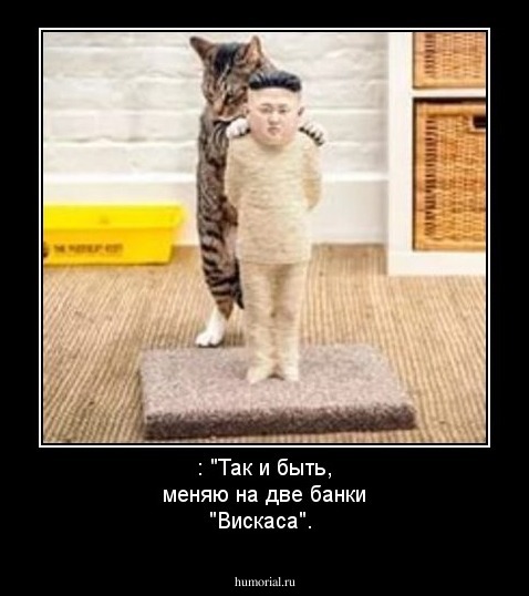 : "Так и быть, меняю на две банки "Вискаса".