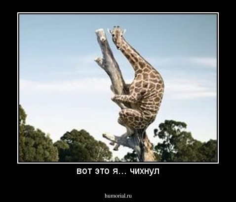 вот это я... чихнул