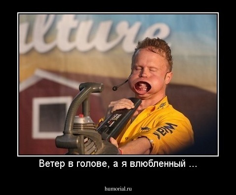 Ветер в голове, а я влюбленный ...
