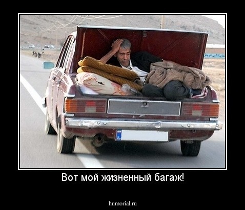Вот мой жизненный багаж!