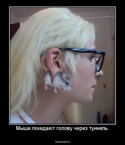 Мыши покидают голову через туннель.