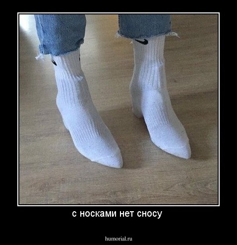 с носками нет сносу 