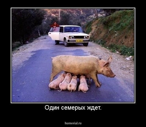 Один семерых ждет.