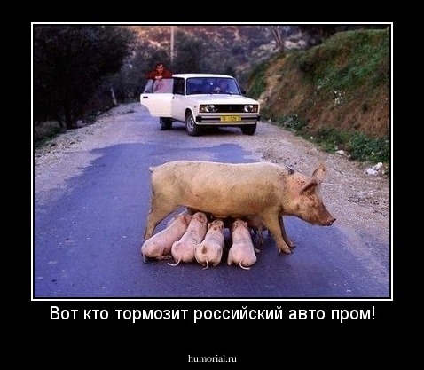 Вот кто тормозит российский авто пром!