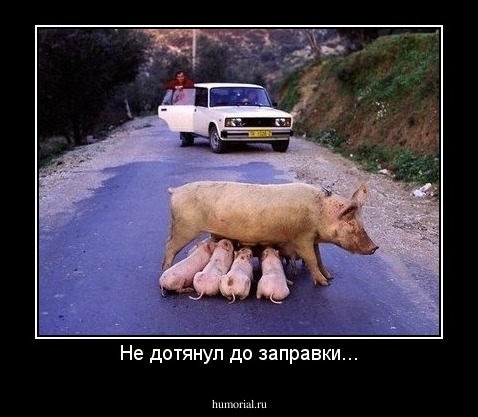 Не дотянул до заправки...